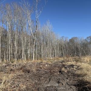 Photo #20 of Off Courthouse Road, Waverly, VA 31.5 acres