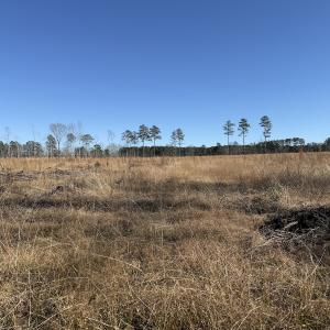 Photo #22 of Off Courthouse Road, Waverly, VA 31.5 acres