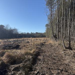 Photo #29 of Off Courthouse Road, Waverly, VA 31.5 acres