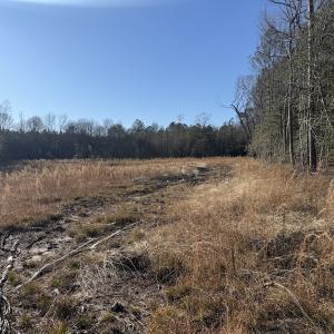 Photo #30 of Off Courthouse Road, Waverly, VA 31.5 acres