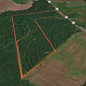 Photo #4 of Off Courthouse Road, Waverly, VA 31.5 acres