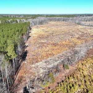 Photo #5 of Off Courthouse Road, Waverly, VA 31.5 acres