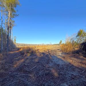 Photo #6 of Off Courthouse Road, Waverly, VA 31.5 acres