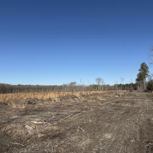 Photo #7 of Off Courthouse Road, Waverly, VA 31.5 acres
