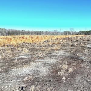 Photo #8 of Off Courthouse Road, Waverly, VA 31.5 acres
