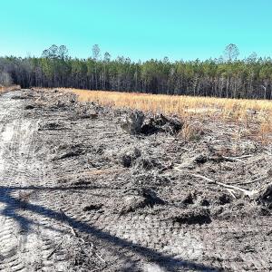 Photo #11 of Off Courthouse Road, Waverly, VA 31.5 acres
