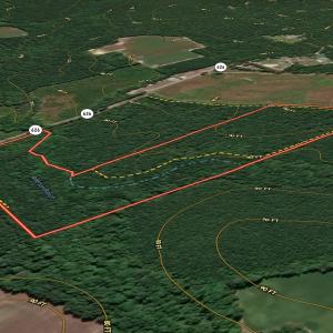 Photo #14 of Off Courthouse Road, Waverly, VA 31.5 acres