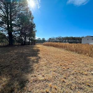 Photo #2 of 1775 Corinth Chapel Rd, Suffolk, VA 3.0 acres