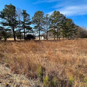 Photo #4 of 1775 Corinth Chapel Rd, Suffolk, VA 3.0 acres