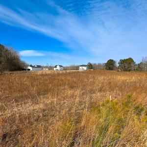 Photo #6 of 1775 Corinth Chapel Rd, Suffolk, VA 3.0 acres