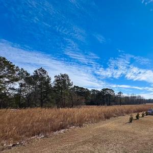 Photo #11 of 1775 Corinth Chapel Rd, Suffolk, VA 3.0 acres