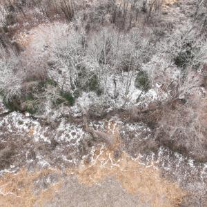 Photo #26 of Off Mt Pleasant Church Road, Manson, NC 12.6 acres