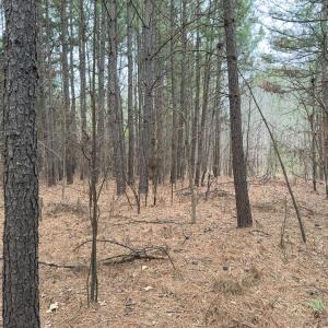 Photo #31 of Off Mt Pleasant Church Road, Manson, NC 12.6 acres