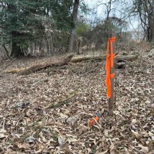 Photo #36 of Off Mt Pleasant Church Road, Manson, NC 12.6 acres