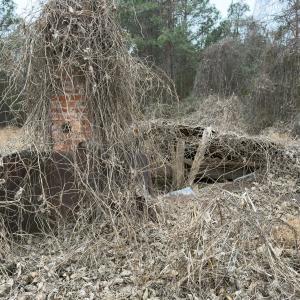 Photo #37 of Off Mt Pleasant Church Road, Manson, NC 12.6 acres