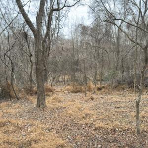 Photo #38 of Off Mt Pleasant Church Road, Manson, NC 12.6 acres