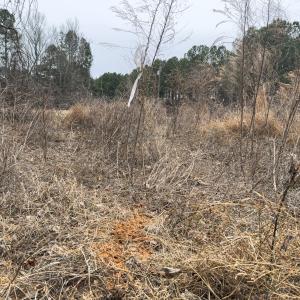 Photo #41 of Off Mt Pleasant Church Road, Manson, NC 12.6 acres