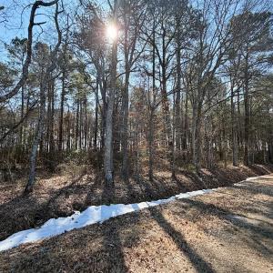 Photo #11 of  Off Sandy Ridge Road, Tyner, NC 36.2 acres