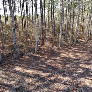 Photo #13 of  Off Sandy Ridge Road, Tyner, NC 36.2 acres