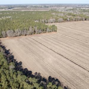 Photo #1 of  Off Sandy Ridge Road, Tyner, NC 36.2 acres