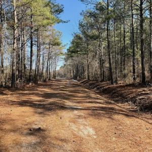 Photo #6 of  Off Sandy Ridge Road, Tyner, NC 36.2 acres