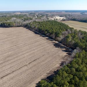 Photo #7 of  Off Sandy Ridge Road, Tyner, NC 36.2 acres