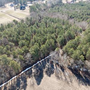 Photo #8 of  Off Sandy Ridge Road, Tyner, NC 36.2 acres