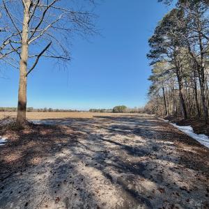 Photo #9 of  Off Sandy Ridge Road, Tyner, NC 36.2 acres