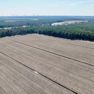 Photo #20 of  Off Sandy Ridge Road, Tyner, NC 36.2 acres