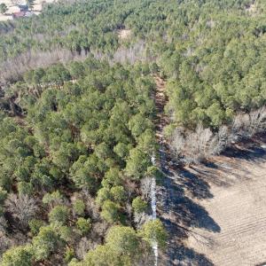 Photo #26 of  Off Sandy Ridge Road, Tyner, NC 36.2 acres