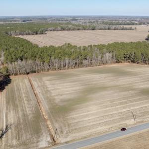 Photo #28 of  Off Sandy Ridge Road, Tyner, NC 36.2 acres