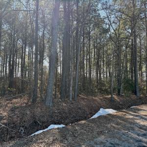 Photo #31 of  Off Sandy Ridge Road, Tyner, NC 36.2 acres
