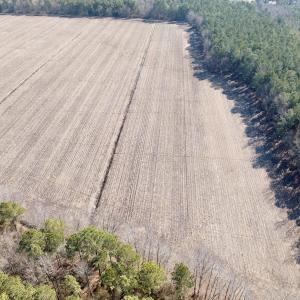 Photo #21 of  Off Sandy Ridge Road, Tyner, NC 36.2 acres