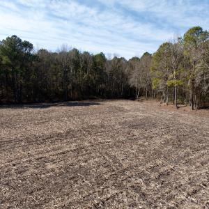 Photo #33 of  Off Sandy Ridge Road, Tyner, NC 36.2 acres