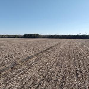 Photo #35 of  Off Sandy Ridge Road, Tyner, NC 36.2 acres