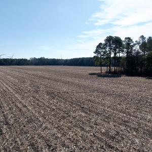 Photo #36 of  Off Sandy Ridge Road, Tyner, NC 36.2 acres
