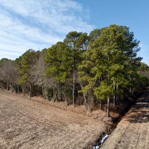Photo #39 of  Off Sandy Ridge Road, Tyner, NC 36.2 acres