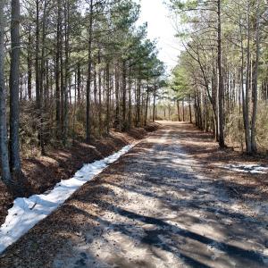 Photo #40 of  Off Sandy Ridge Road, Tyner, NC 36.2 acres