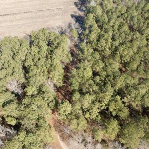 Photo #42 of  Off Sandy Ridge Road, Tyner, NC 36.2 acres