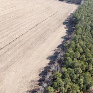 Photo #22 of  Off Sandy Ridge Road, Tyner, NC 36.2 acres