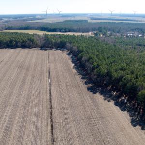 Photo #23 of  Off Sandy Ridge Road, Tyner, NC 36.2 acres