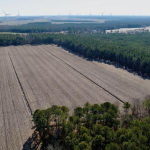 Photo #24 of  Off Sandy Ridge Road, Tyner, NC 36.2 acres