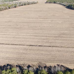 Photo #25 of  Off Sandy Ridge Road, Tyner, NC 36.2 acres