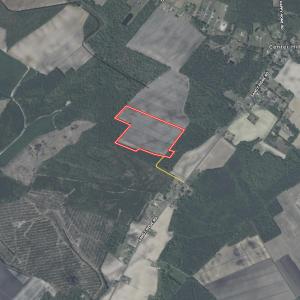 Photo #44 of  Off Sandy Ridge Road, Tyner, NC 36.2 acres