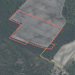 Photo #45 of  Off Sandy Ridge Road, Tyner, NC 36.2 acres