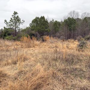 Photo #11 of Off Mt Pleasant Church Road, Manson, NC 12.6 acres