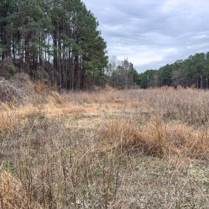 Photo #15 of Off Mt Pleasant Church Road, Manson, NC 12.6 acres