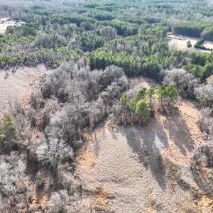 Photo #16 of Off Mt Pleasant Church Road, Manson, NC 12.6 acres