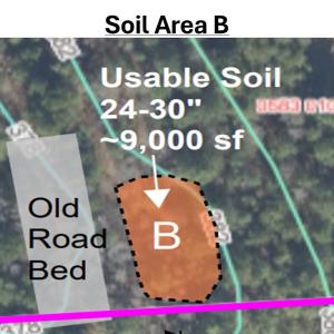 Photo #17 of Off Mt Pleasant Church Road, Manson, NC 12.6 acres