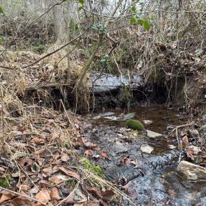 Photo #2 of Off Mt Pleasant Church Road, Manson, NC 12.6 acres